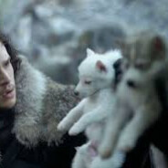 JohnSnow