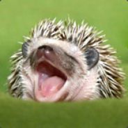 Hedgehog's avatar