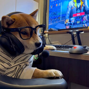 不好意思是入机