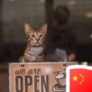 那就这样吧，都好好的.