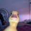 Donald Duck