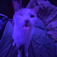 Sorzus