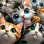 Luati-(=^・^=)-MAX's avatar