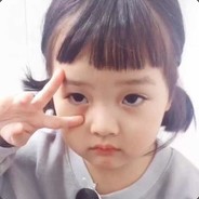 陆胖子