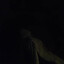 марселин
