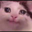 Se for chorar manda áudio