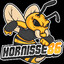 Hornisse86