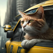 Cat Taxi Driver