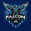 Falcon NXT | Lokkeduen