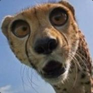 Ron - steam id 76561197965456236