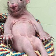 LOL LOL Skin CHANGER