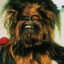 Wookie of the Year