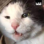 Spunky the ass sniffer