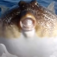 Komblowfish