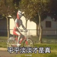 疫严丁真鉴定为没码