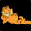 GarfieldCat