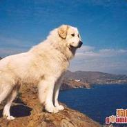 光阴剪成烟花