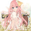 FloweRc*