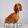 xx_biba_xxx
