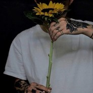 绝户婊子爱盗我号