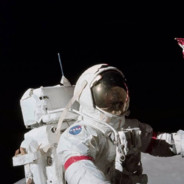 超级无敌可爱小猫