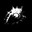 darkness