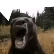 🦍 GorillaBot [24/7] ⚡