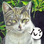 这波一马三优势在我