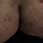 卫的狗子久经沙场