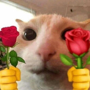 ♿mIrY- - steam id 76561198359088400