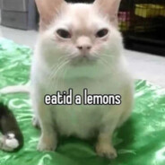 eatid a lemons