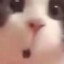 TTKAIXIN