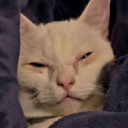 Dynamo Chicken (Austin, TX)