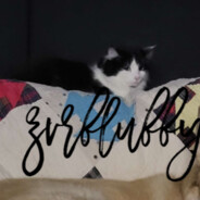 zvrfluffy avatar
