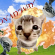 panicattacklesbiangirl