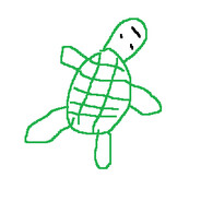 Turtle Dumpling