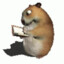 Chomikuj🐹