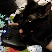 Zero_Lives