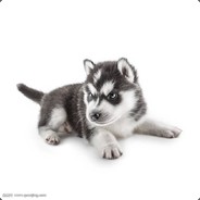 马戏团里的一条狗