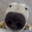Snooper