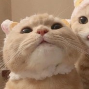 十年戎马心孤单