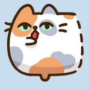 浙工大syj跪求男友