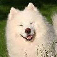 大元