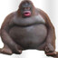 StinkyPoopy