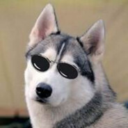 保险过期了别打我