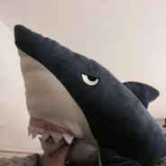 青萍明月樱花梦