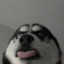 BB