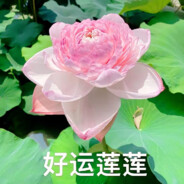 枪枪爆头好运连连