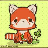 RedPockyPanda