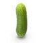 Cucumber